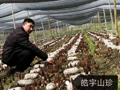 &#21326;&#20307;&#24179;&#21488;&#45;&#21326;&#20307;&#40;&#20013;&#22269;&#41;