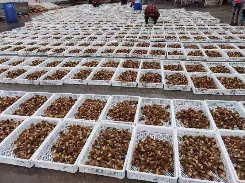 &#21326;&#20307;&#24179;&#21488;&#45;&#21326;&#20307;&#40;&#20013;&#22269;&#41;