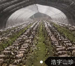 &#21326;&#20307;&#24179;&#21488;&#45;&#21326;&#20307;&#40;&#20013;&#22269;&#41;