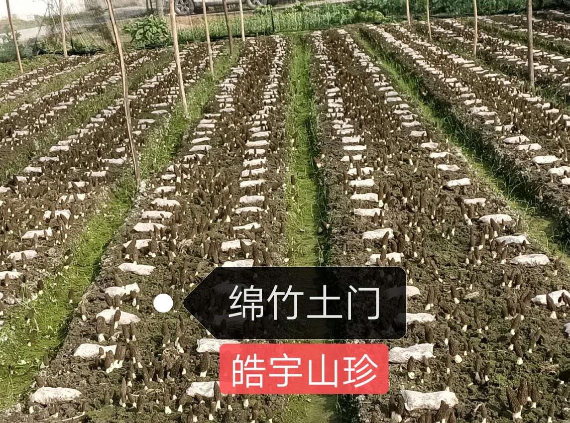 &#21326;&#20307;&#24179;&#21488;&#45;&#21326;&#20307;&#40;&#20013;&#22269;&#41;