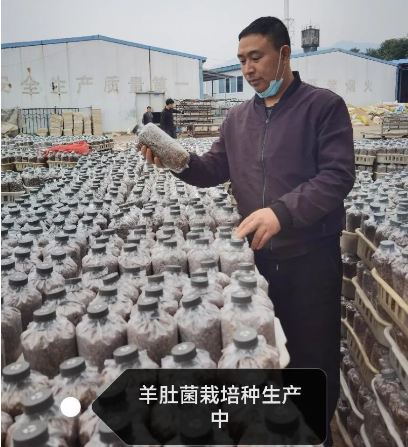 &#21326;&#20307;&#24179;&#21488;&#45;&#21326;&#20307;&#40;&#20013;&#22269;&#41;