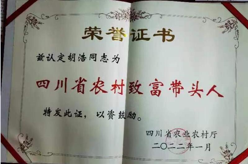 &#21326;&#20307;&#24179;&#21488;&#45;&#21326;&#20307;&#40;&#20013;&#22269;&#41;